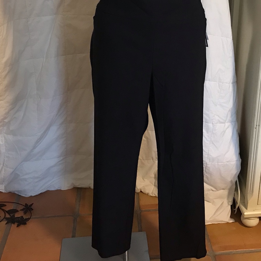 Women’s Plus Size 24W Slim Leg Pants